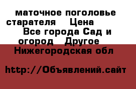 маточное поголовье старателя  › Цена ­ 3 700 - Все города Сад и огород » Другое   . Нижегородская обл.